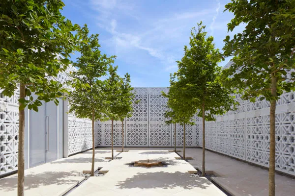 The Garden of Light - a garden with white, stone, carved walls and magnolia trees with a small fountain in the centre.