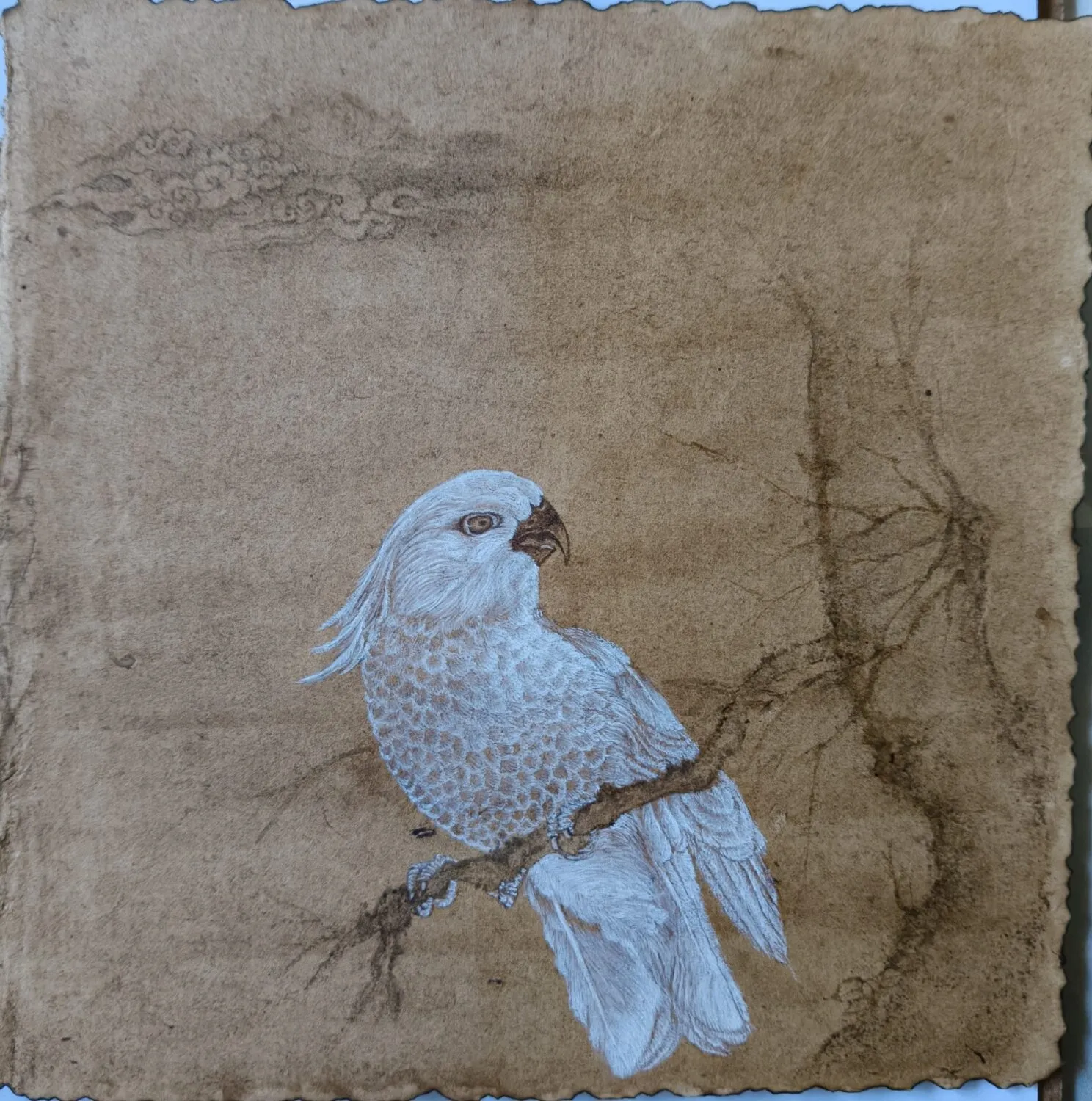 A painting of a white parrot.